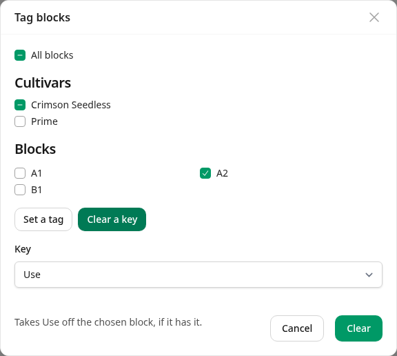 Tag blocks in Clear a key, with A2 ticked and Use chosen
